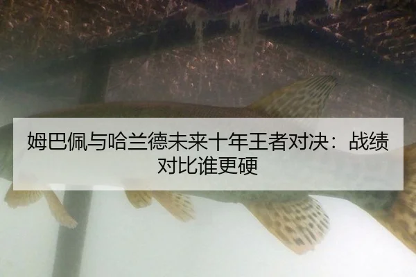 mu-ba-pei-yu-ha-lan-de-wei-lai-shi-nian-wang-zhe-dui-jue-zhan-ji-dui-bi-shui-geng-ying-2-711.jpg